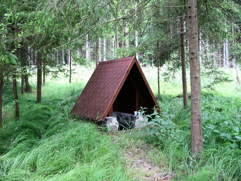 studánka U Šmudly (11409) - červen 2017