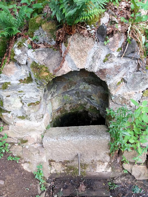 studánka V botanické zahradě  (11425) - červenec 2017