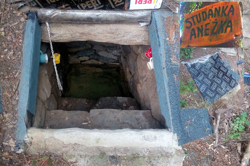 studánka Anežka (11428) - červenec 2017
