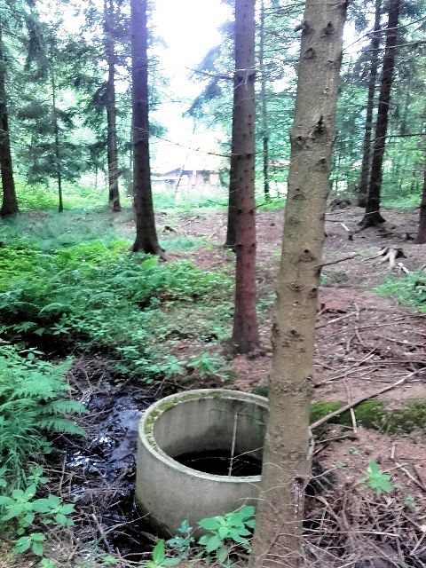 studánka Nad Lovětínským rybníkem (11443) - červenec 2017