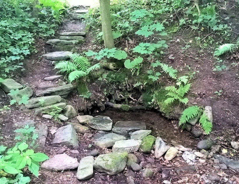 Světlušková studánka (11445) - červenec 2017
