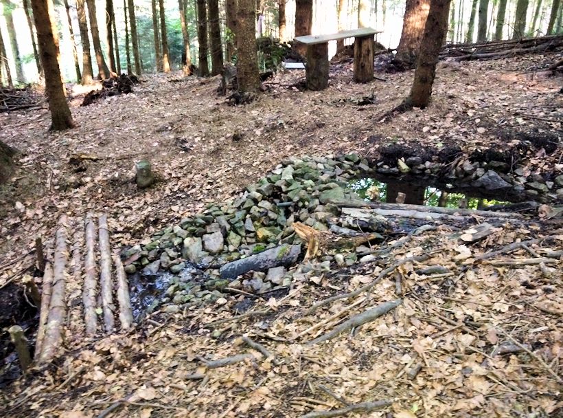 studánka Apolenka (11451) - červenec 2017