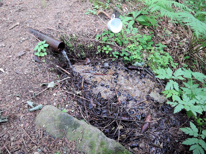 studánka U Albrechtovic (11458) - červenec 2017
