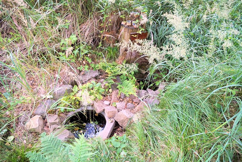studánka Studánky Palések (11473) - červenec 2017