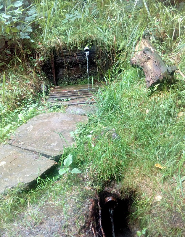 studánka Radvanov (11529) - červenec 2017