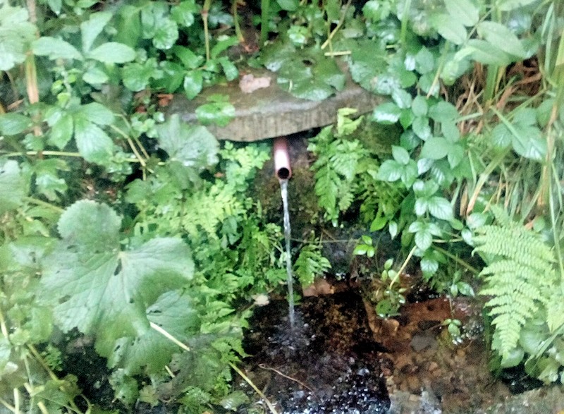 studánka V Milíkově (11531) - červenec 2017