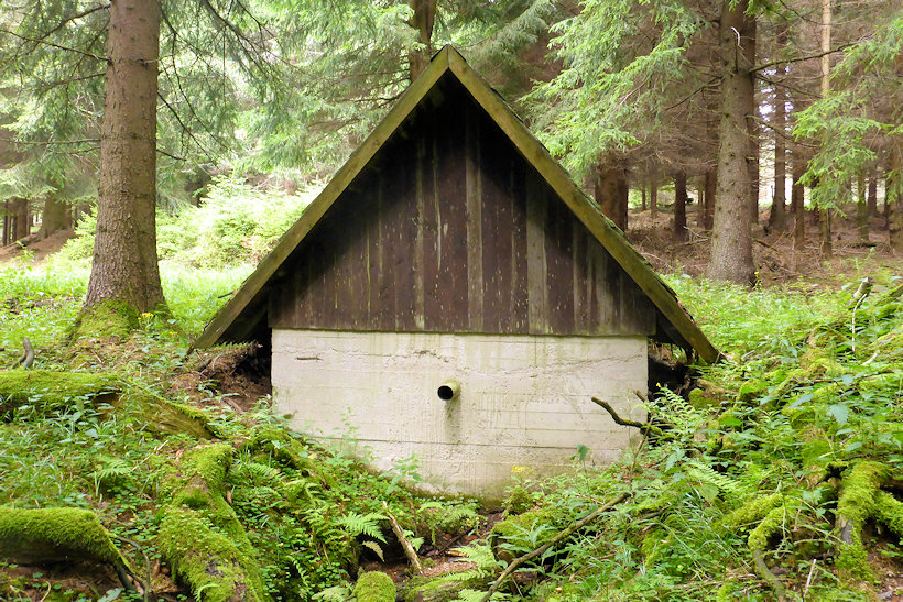 studánka bez jména (11567) - srpen 2017