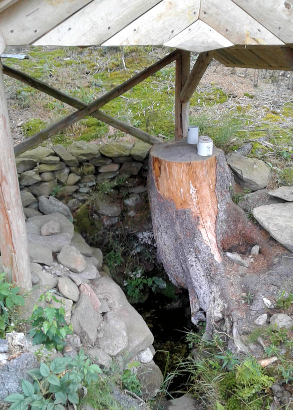 studánka Za potůčkem (11570) - srpen 2017