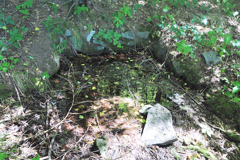 studánka Zapomenutá (11571) - srpen 2017