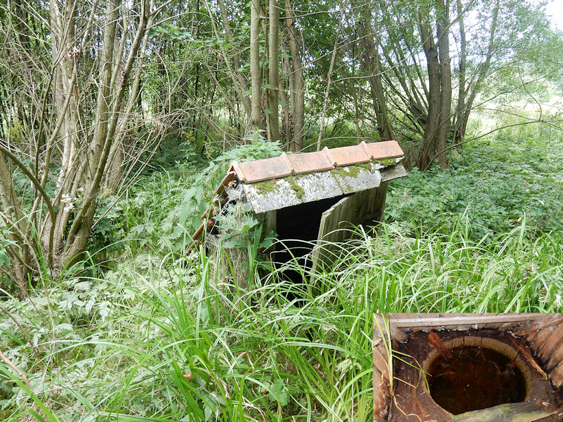 studánka Sázavský potok (11579) - srpen 2017
