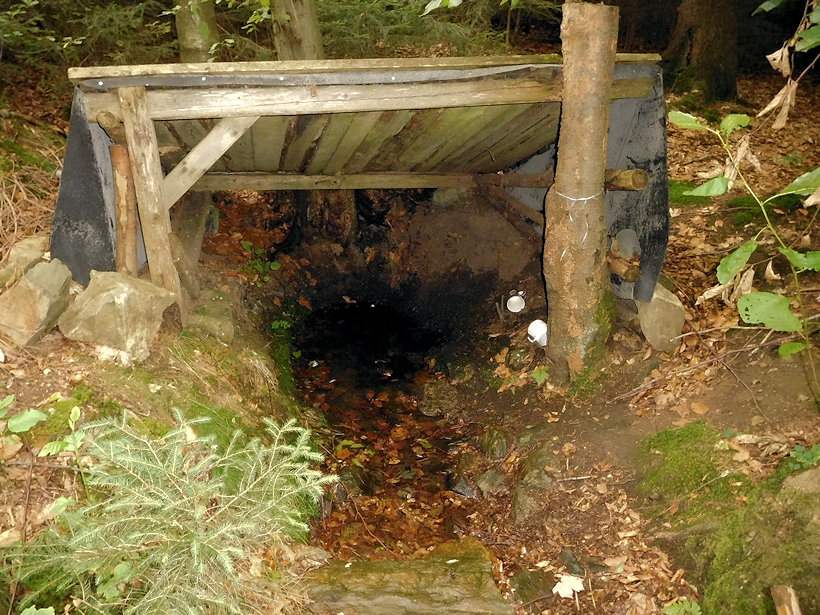 studánka Pod Spáleným vrchem (11593) - srpen 2017