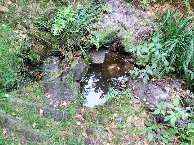Trpasličí studánka (11596) - srpen 2017