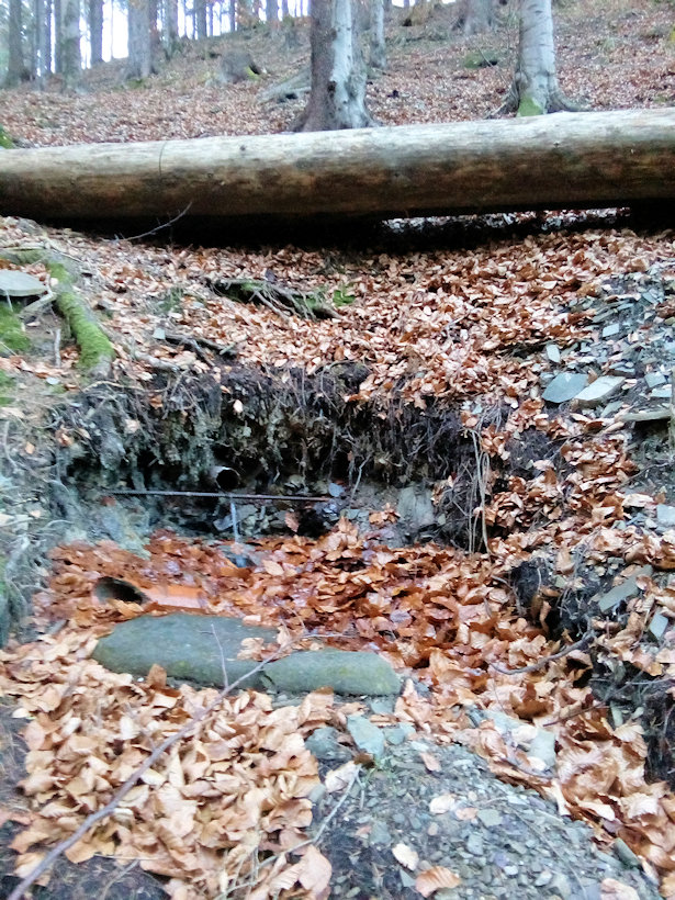 studánka Karlův pramen (11606) - listopad 2020