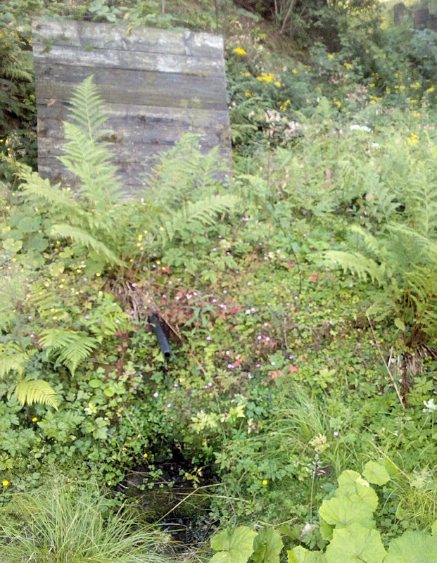 Studánka a pramen Latkula (11612) - srpen 2017