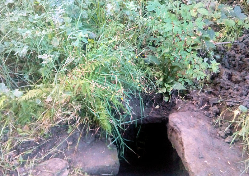 Tadkova studánka (11616) - srpen 2017