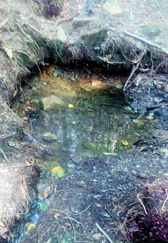 studánka V Zápolí (11641) - srpen 2017