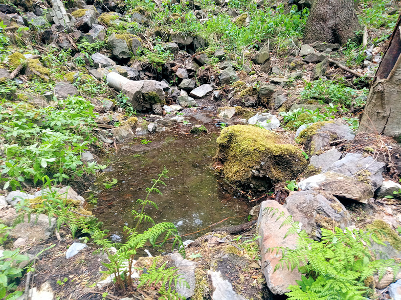 jiný vodní zdroj Duršlovka (11689) - květen 2020