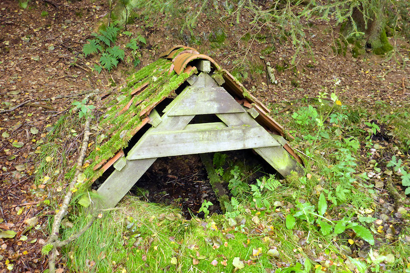 studánka bez jména (11697) - září 2017