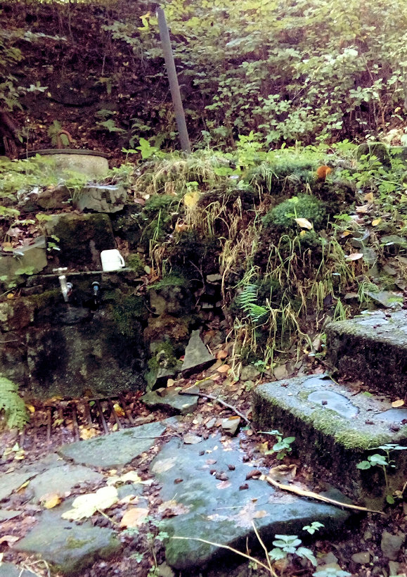 studánka Na Pasekách (11703) - září 2017