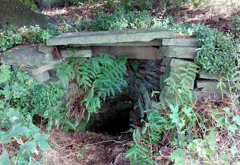 studánka V Tatarkách (11713) - září 2017
