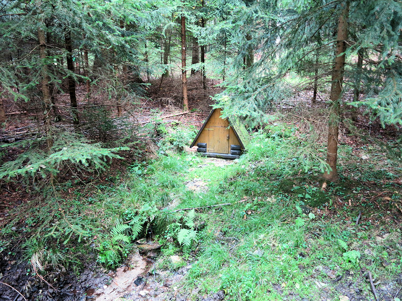 studánka Pod Klenovou (11723) - září 2017