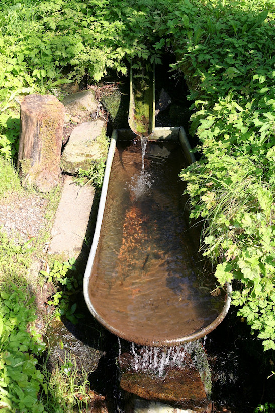 studánka U Kaple (11729) - září 2017