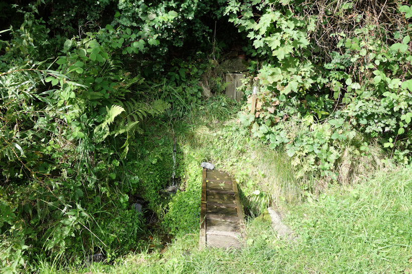 studánka Líska (11736) - říjen 2017