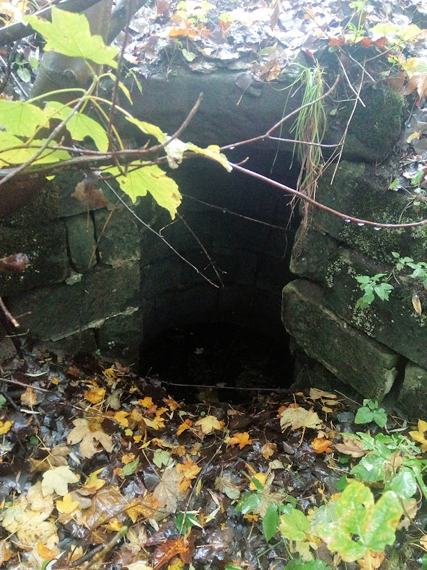 studánka Pod silnicí (11740) - říjen 2017