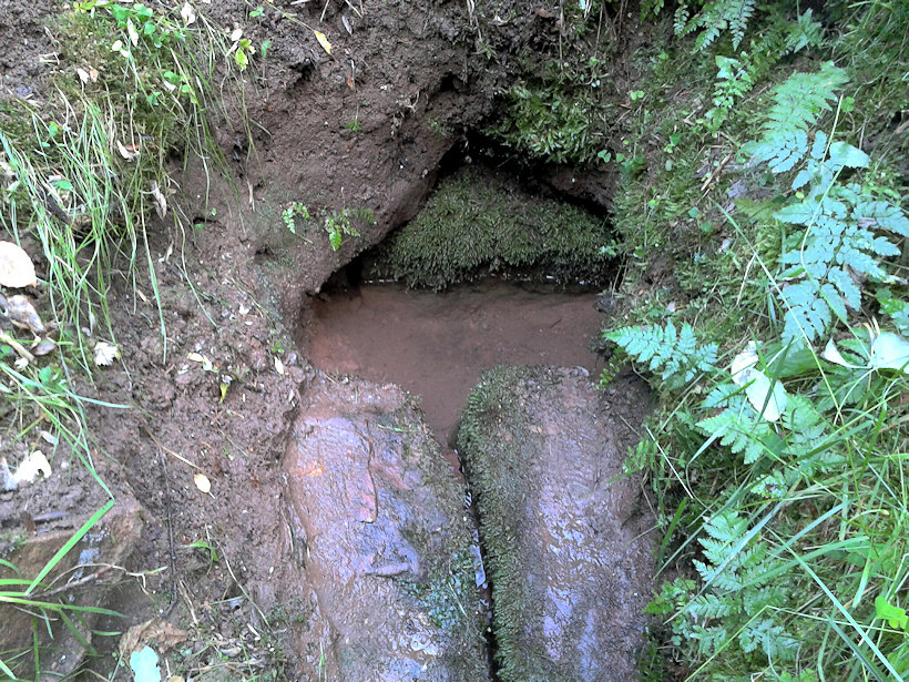 studánka Prdlavka (11759) - listopad 2017