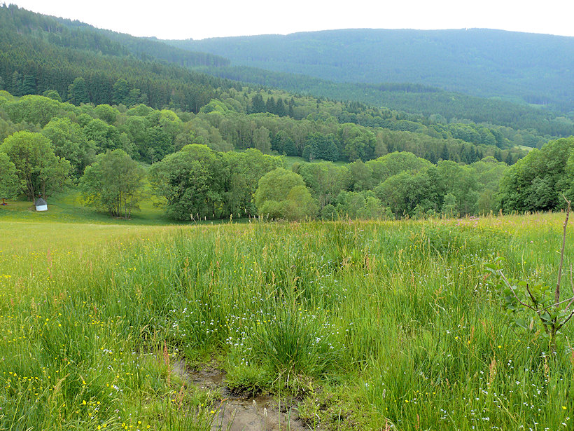 pramen bez jména (11785) - listopad 2017