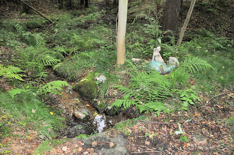 studánka U víly (11819) - prosinec 2017