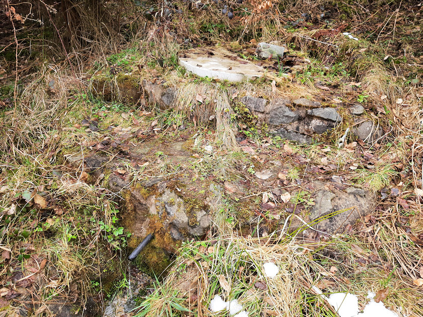 studánka Pavlínka (11822) - duben 2021