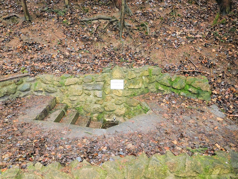 Dvořákova studánka (11823) - leden 2018