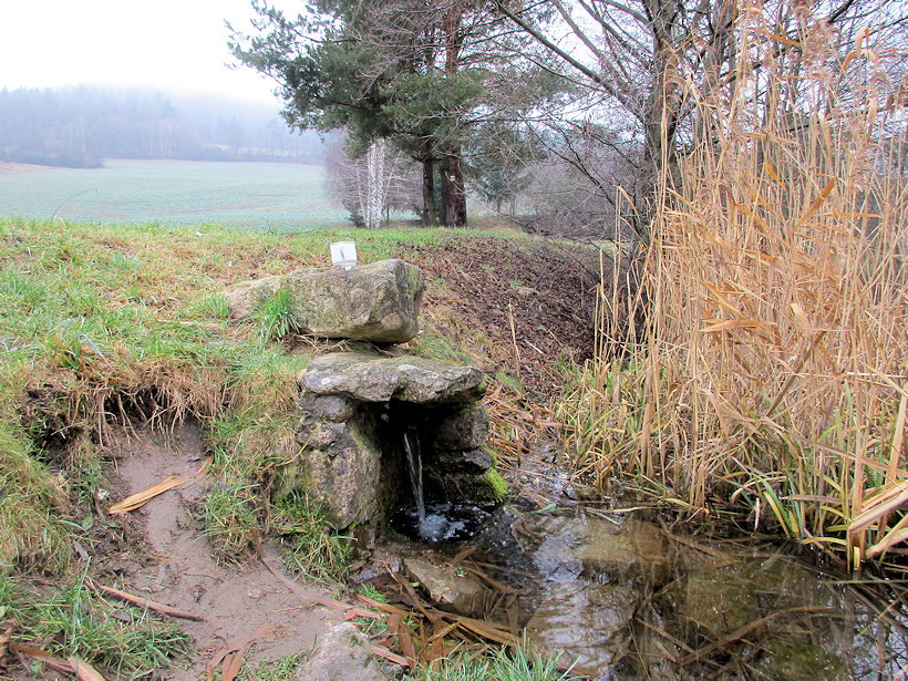 studánka U rybníčku (11824) - leden 2018