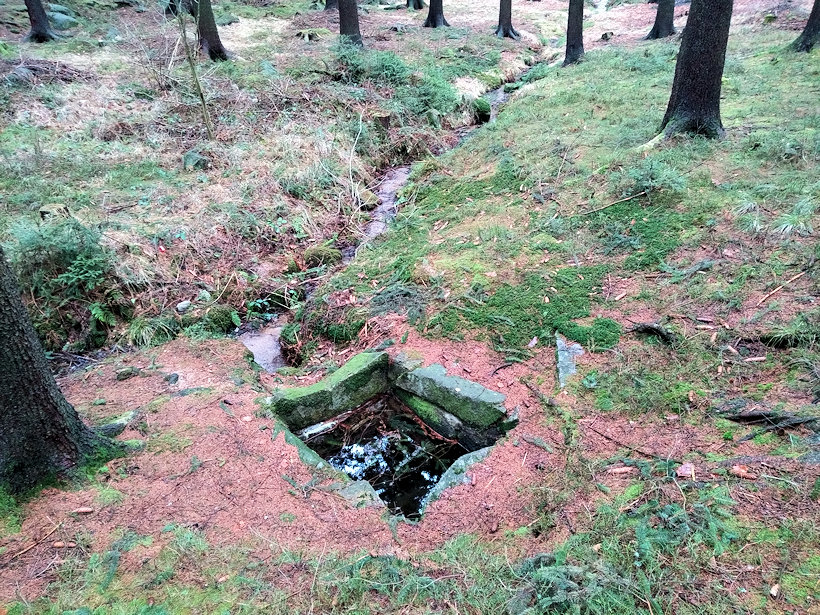 studánka bez jména (11848) - leden 2018