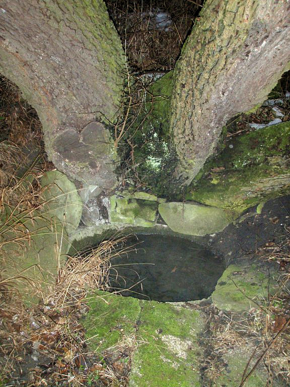 studánka U Břekyně (11851) - leden 2018