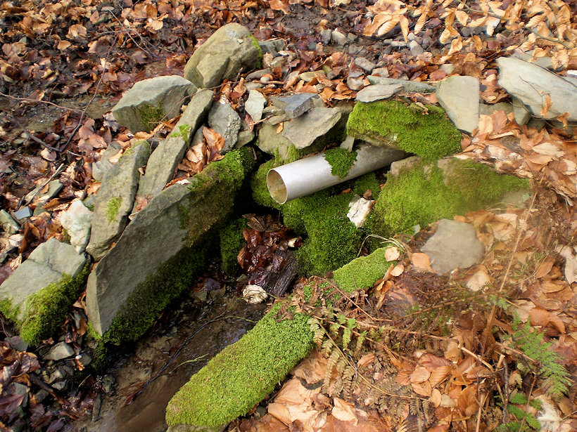studánka Pramen Šaki (11858) - únor 2018