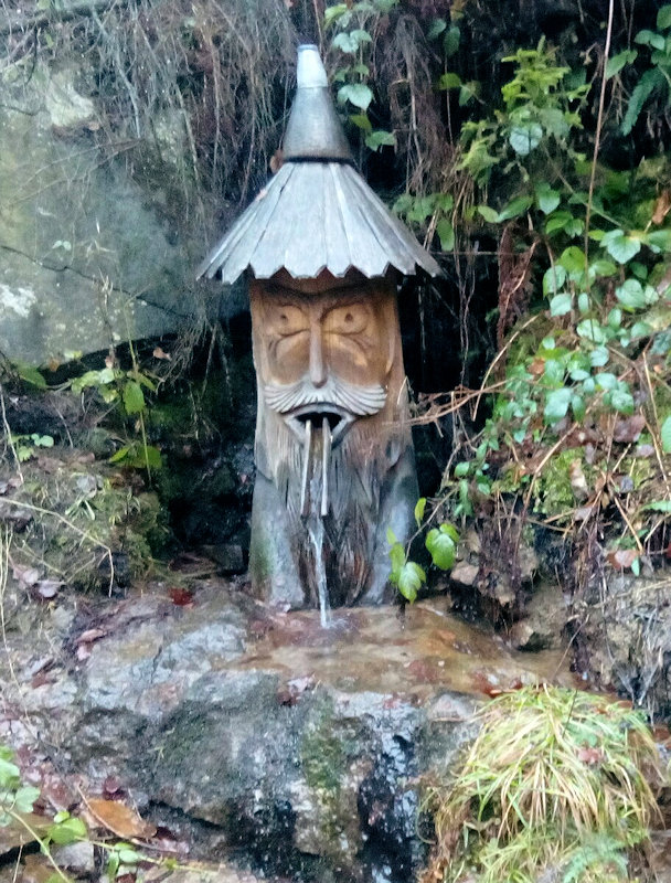 studánka U poutníka (11867) - únor 2018