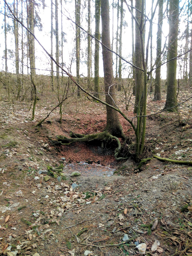 studánka Pod Hamouzem (11875) - březen 2018