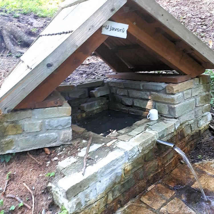 studánka U Javorů (11904) - datum neznámé