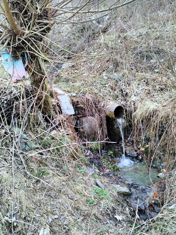 studánka Pod vrbou (11950) - duben 2018