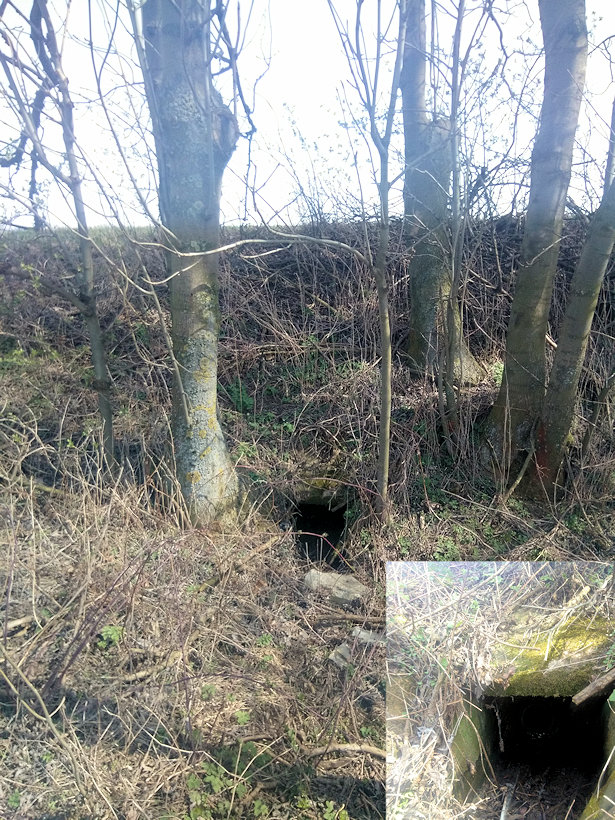 studánka Na dvorském (11954) - duben 2018