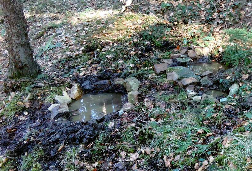 studánka Zálesácká (11963) - duben 2018