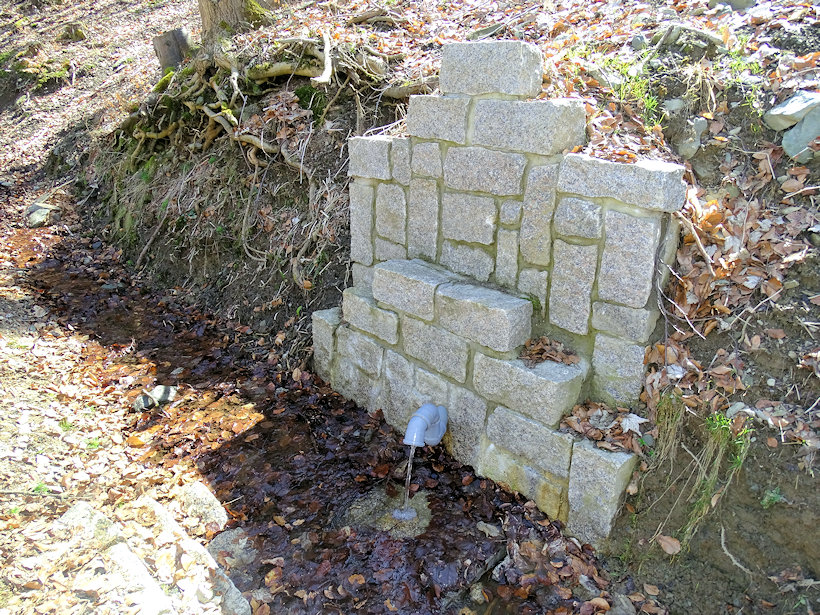 studánka Pod Roimundem (11974) - duben 2018
