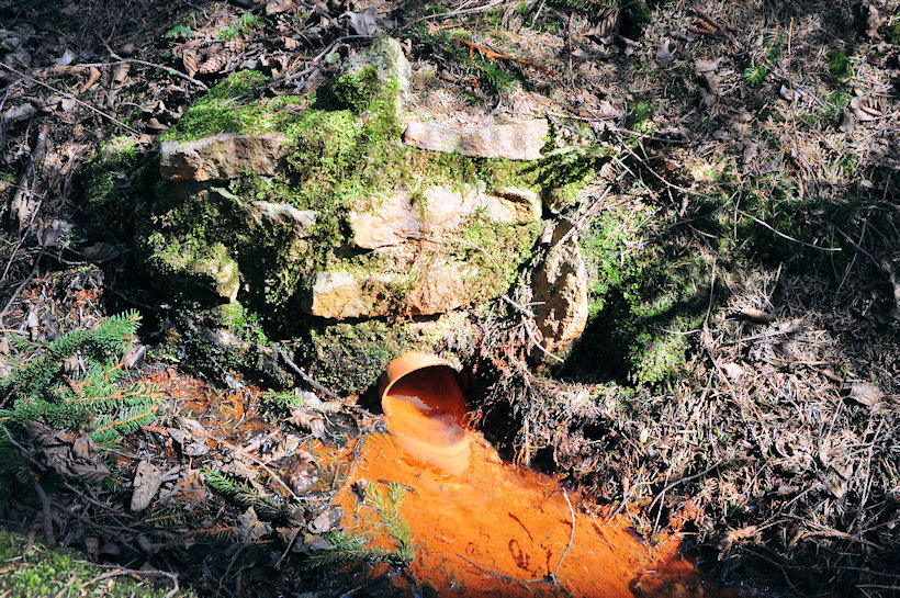 studánka Pod tábořištěm (11980) - duben 2018