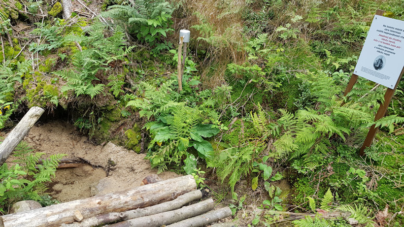 studánka Cimrmanův pramen (12000) - srpen 2019