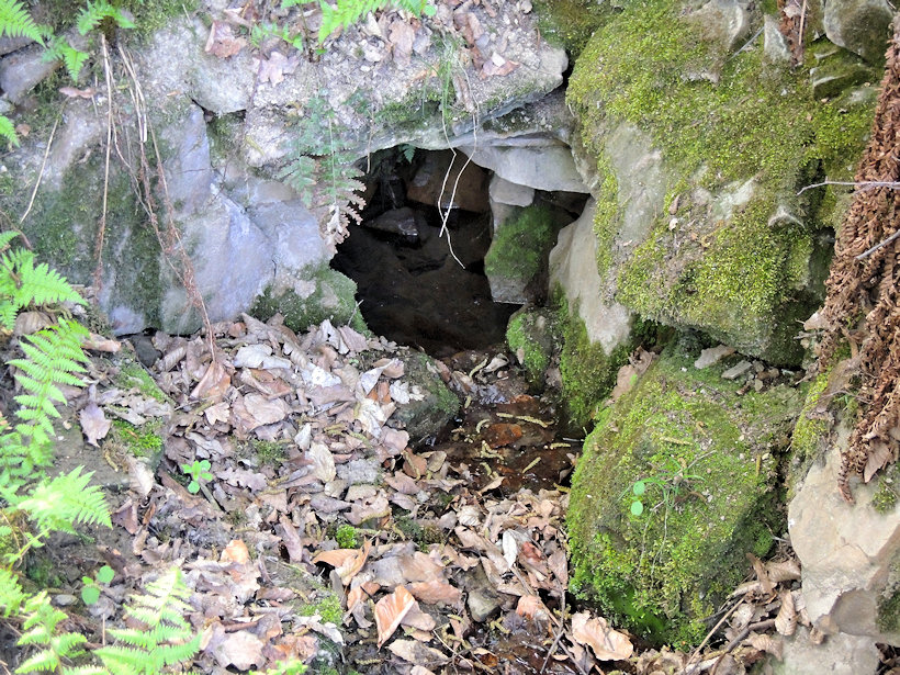 studánka Ve skále (12002) - duben 2018
