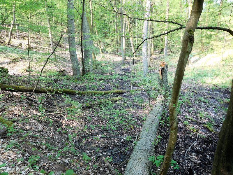 prameniště U Rakovce (12013) - duben 2018
