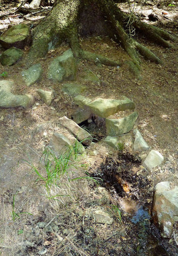 studánka Pod Brdem (12027) - květen 2018