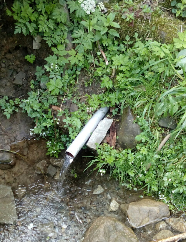 studánka Gutských horalů (12080) - květen 2018